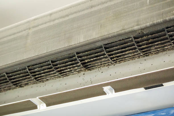 Ductwork Cleaning Services in Earlimart, CA